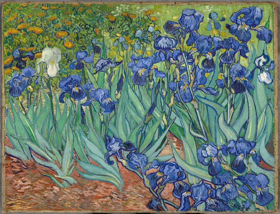 Irises (Hoa Diên Vĩ - 1889)