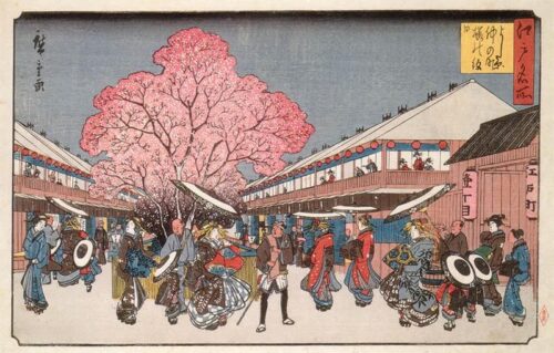 Tranh Nhật Bản Hoa anh đào ở Yoshiwara
