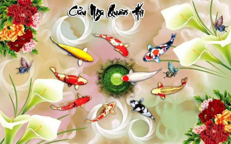 Chọn đúng số lượng cá để bảo toàn tuyệt đối con số 9 vĩnh cửu