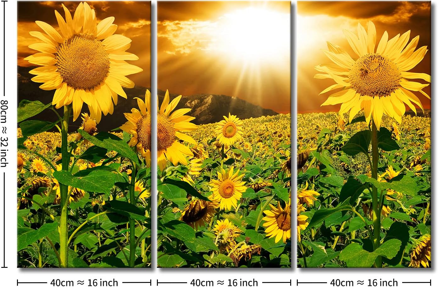 Tranh ghép tấm bộ 3 hoa hướng dương 5 Tranh ghép tấm bộ 3 hoa hướng dương - Ảnh 5