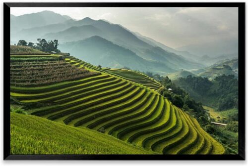 Tranh ruộng bậc thang Tây Bắc