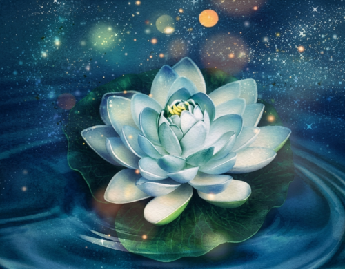 Tranh Hoa Sen Đá Xanh