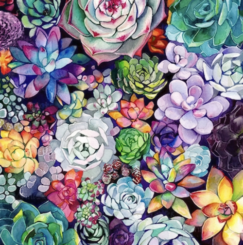 Tranh Hoa Sen Đá Đa Dạng