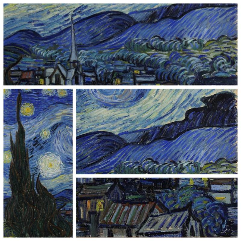 Cây bách sẫm màu vươn thẳng lên trời