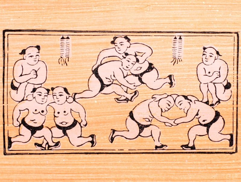 Ý nghĩa tranh đấu vật
