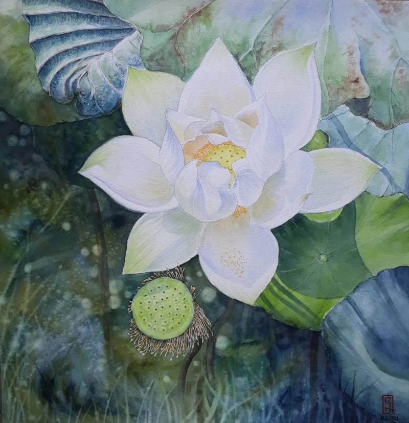 Tranh vẽ hoa sen bằng màu nước