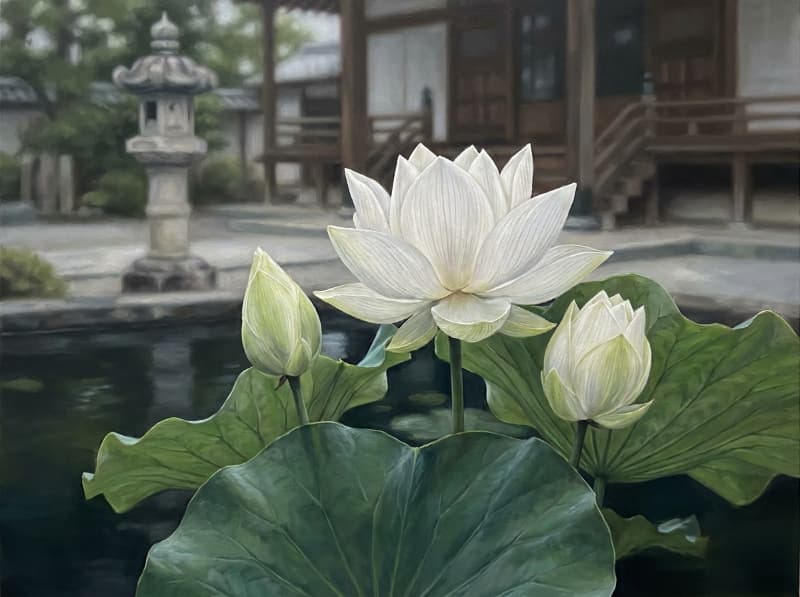 Tranh hoa sen trắng sân chùa bông sen tinh khôi nụ sen xanh hồ nước tĩnh lặng và không gian thiền định cảm hứng Phật giáo