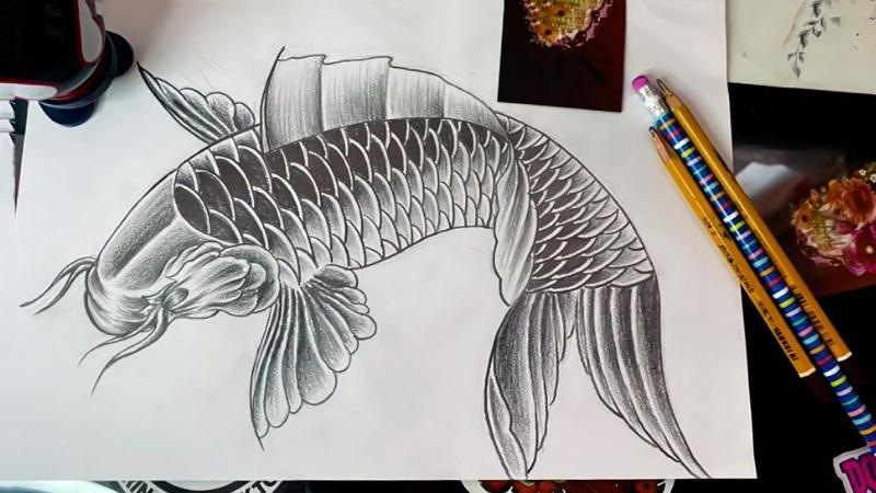 Quy trình vẽ cá chép hóa rồng