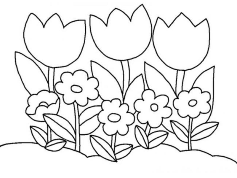 Tranh tô màu hoa tulip cho bé mầm non