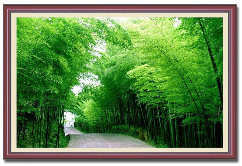 Con đường rừng